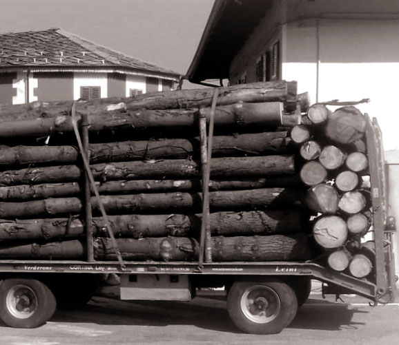 trasporto legno