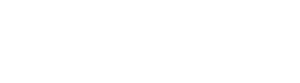 icona di presentazione sito